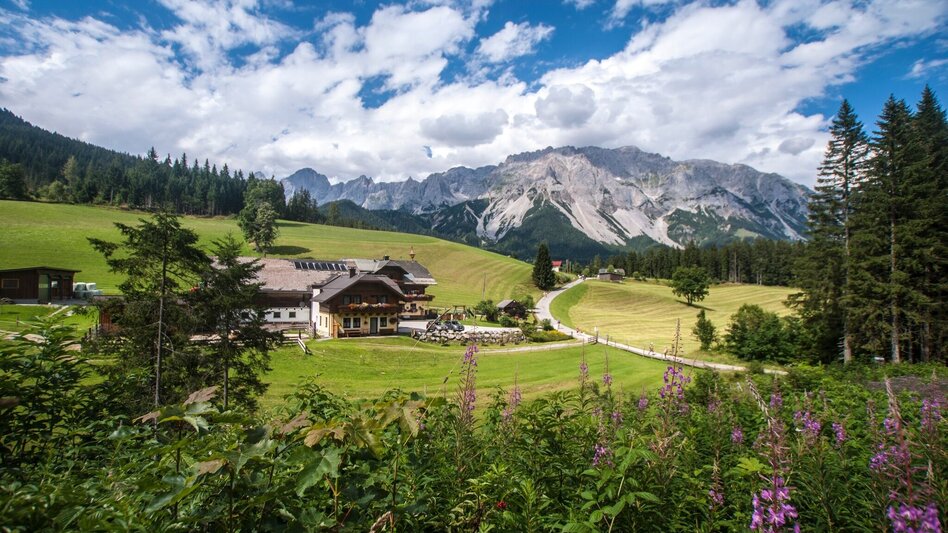 Hiking route Rittispanorama trail - Touren-Impression #2.1 | © Gerhard Pilz - www.gpic.at