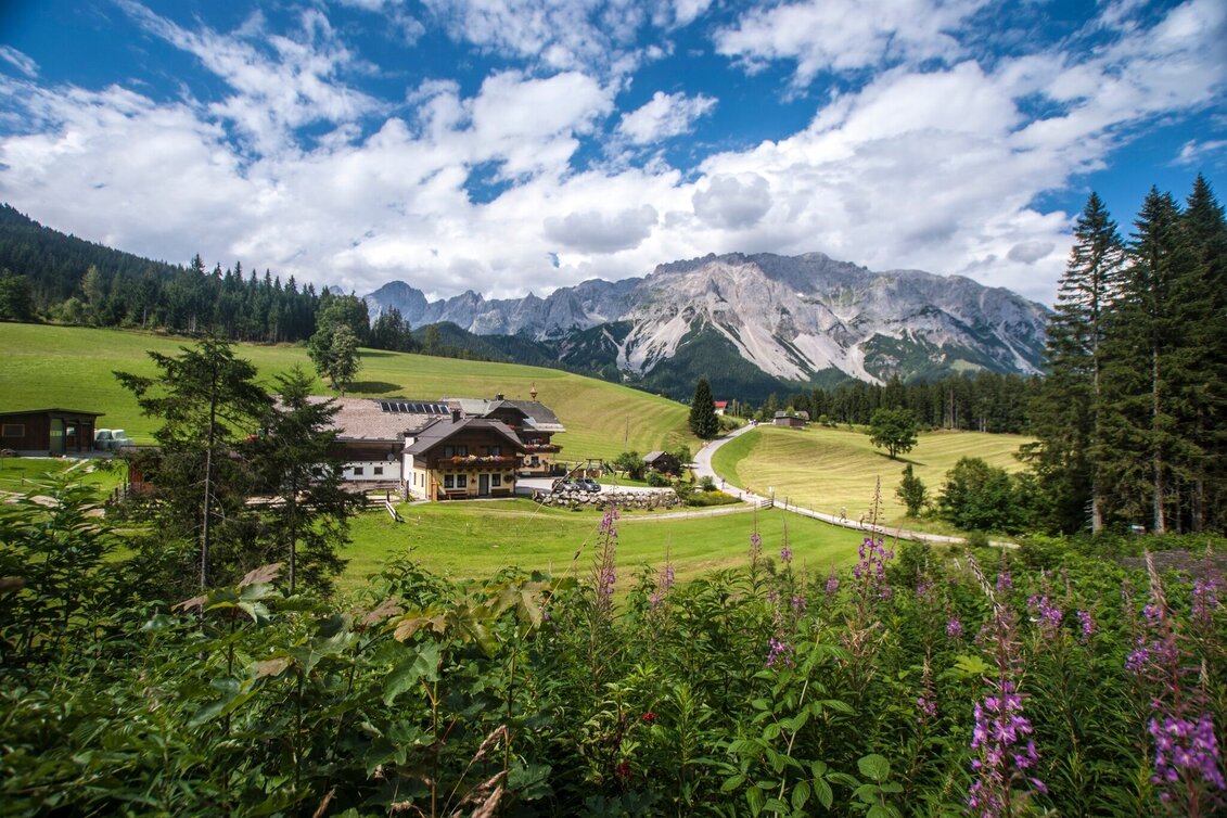 Hiking route Rittispanorama trail - Touren-Impression #1 | © Gerhard Pilz - www.gpic.at