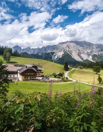 Bauernhof vlg. Greimelbacher am Rittis-Weg | Gerhard Pilz | © Gerhard Pilz - www.gpic.at