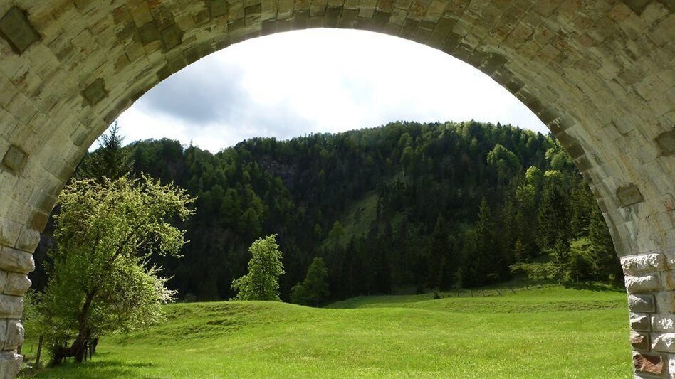 Mountain Biking Wildalpen Rundfahrt - Touren-Impression #2.1 | © Tourismusverband Wildalpen
