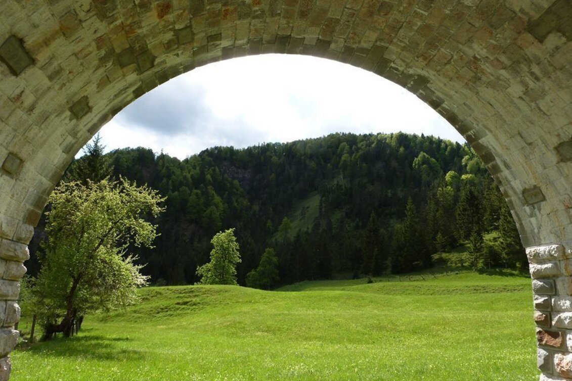 Mountain Biking Wildalpen Rundfahrt - Touren-Impression #1 | © Tourismusverband Wildalpen