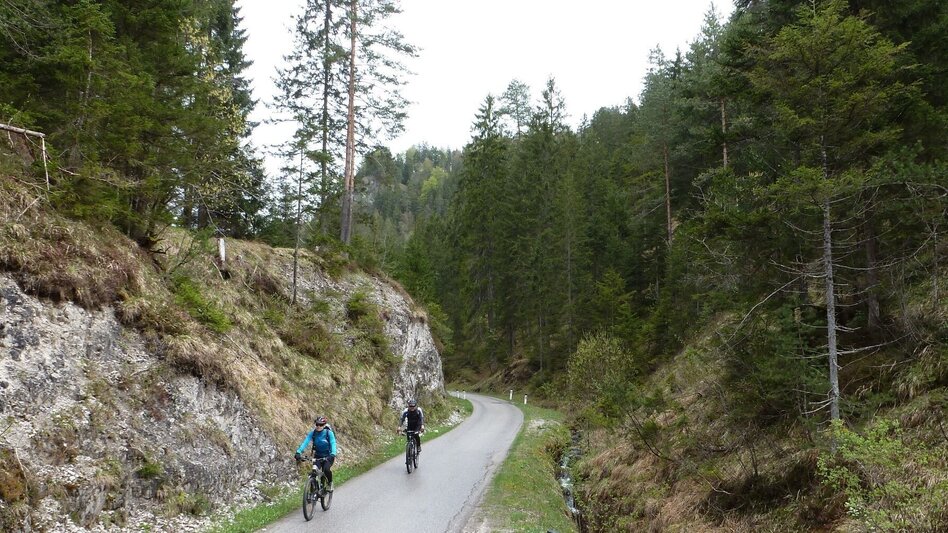 Mountain Biking Wildalpen Rundfahrt - Touren-Impression #2.2 | © Tourismusverband Wildalpen