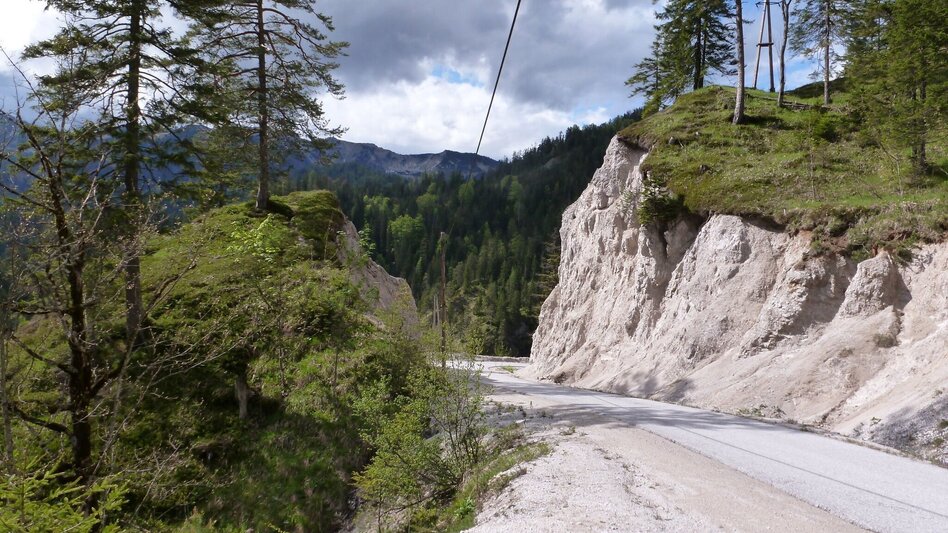Mountain Biking Wildalpen Rundfahrt - Touren-Impression #2.3 | © Tourismusverband Wildalpen