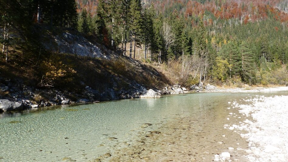 Mountain Biking Wildalpen Rundfahrt - Touren-Impression #2.5 | © Tourismusverband Wildalpen