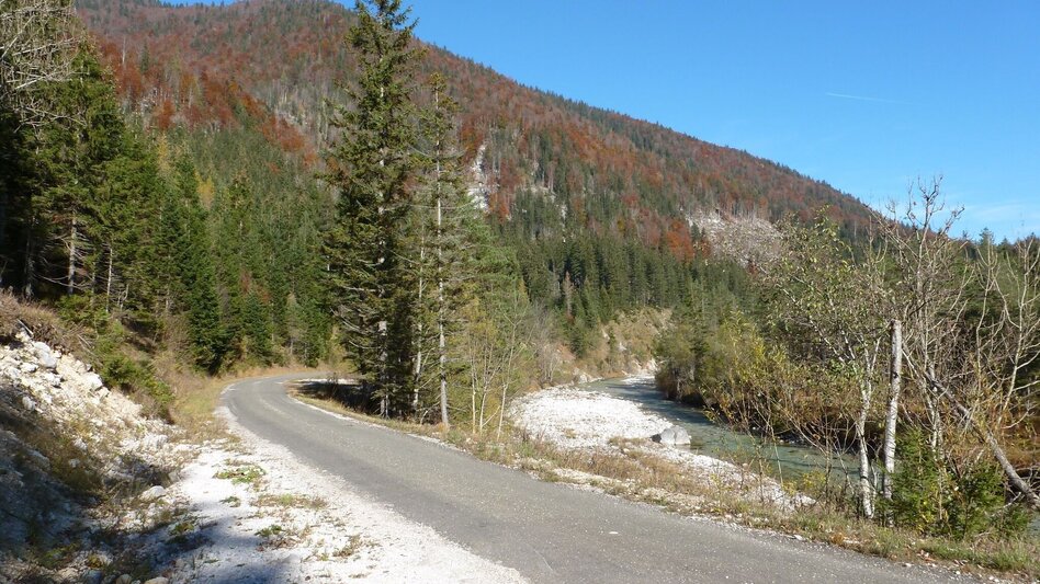 Mountain Biking Wildalpen Rundfahrt - Touren-Impression #2.6 | © Tourismusverband Wildalpen