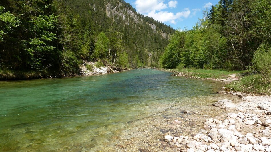 Mountain Biking Wildalpen Rundfahrt - Touren-Impression #2.8 | © Tourismusverband Wildalpen