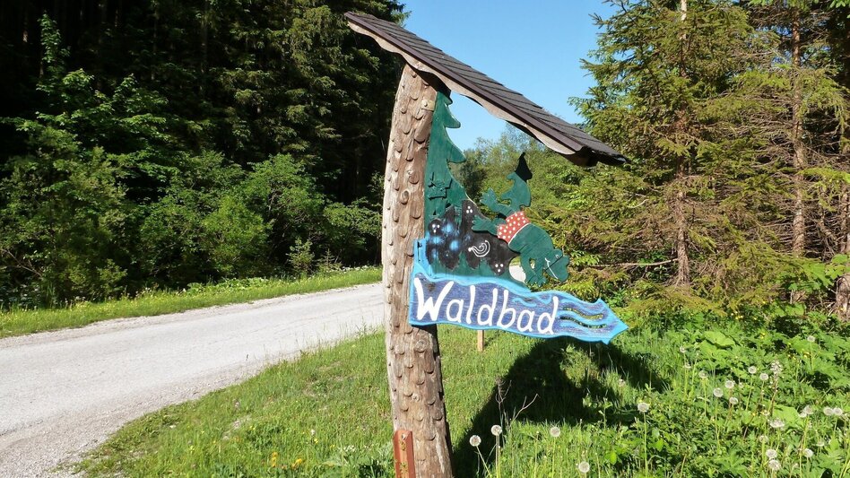 Mountain Biking Wildalpen Rundfahrt - Touren-Impression #2.9 | © Tourismusverband Wildalpen