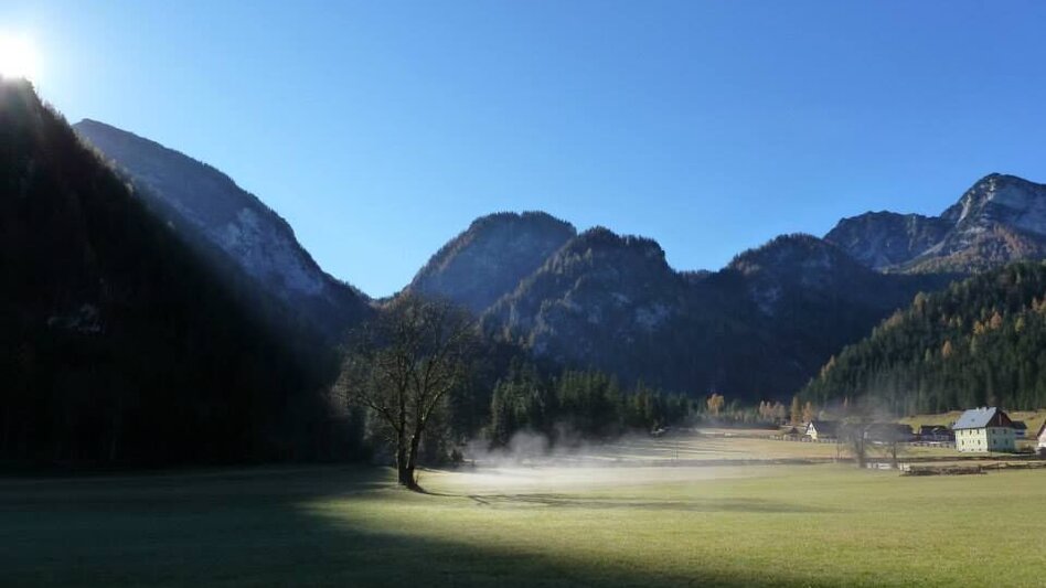 Mountain Biking Wildalpen Rundfahrt - Touren-Impression #2.10 | © Tourismusverband Wildalpen