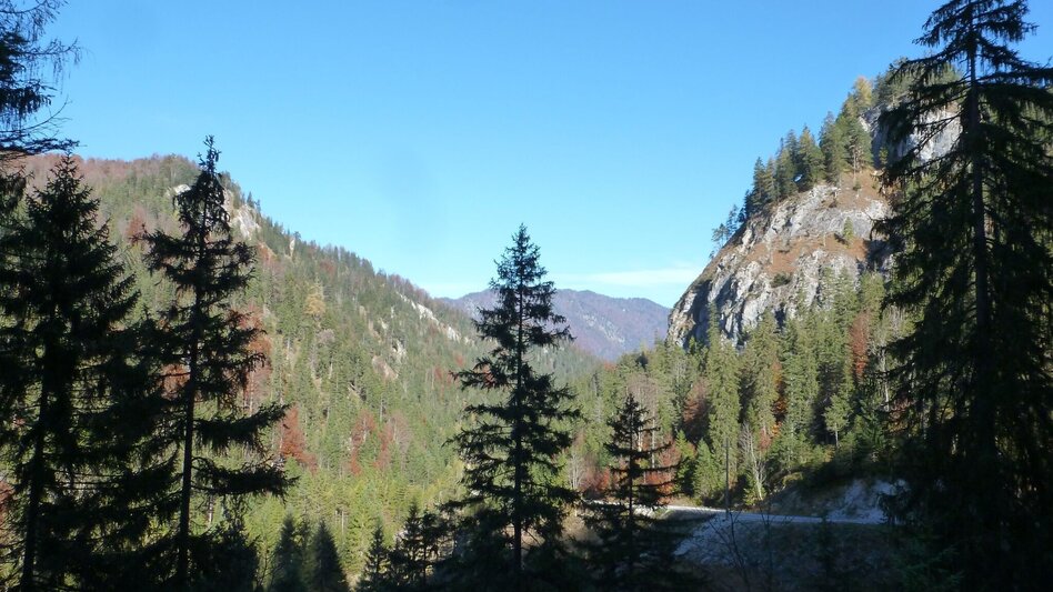 Mountain Biking Wildalpen Rundfahrt - Touren-Impression #2.4 | © Tourismusverband Wildalpen
