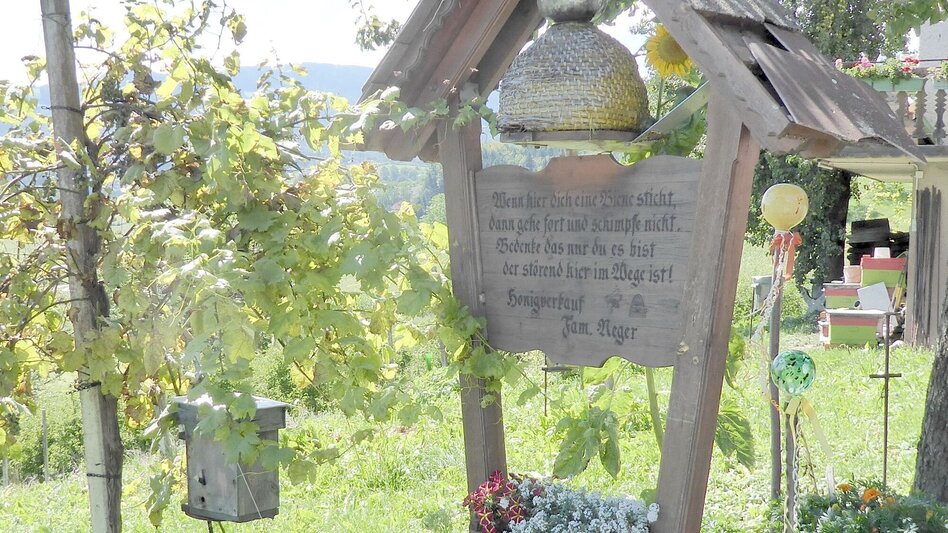 Hiking route Schloss Hollenegg Rundwanderweg - Touren-Impression #2.2 | © TV Südsteiermark/Christian Heugl