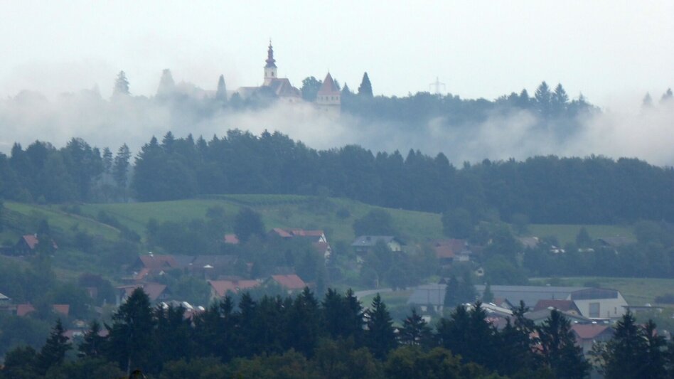 Wanderung Kraftweg - Touren-Impression #2.3 | © TVB Südsteiermark/Christian Heugl