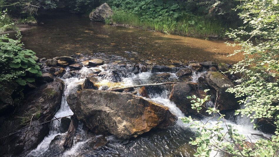 Hiking route St. Anna Rundweg - Touren-Impression #2.4 | © TV Südsteiermark/Katharina Reinisch