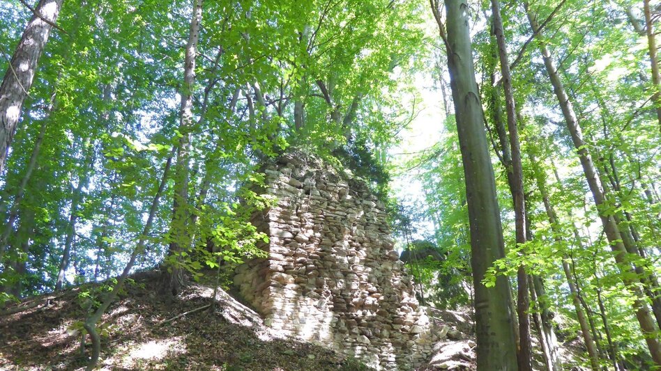 Hiking route Ruine Ahnherrn Rundwanderweg - Touren-Impression #2.1 | © TV Südsteiermark
