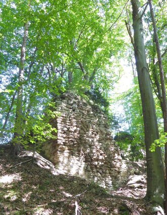 Die ältesten Teile der Ahnherrnruine stammen aus dem 13. Jahrhundert. | Christian Heugl | © TV Südsteiermark