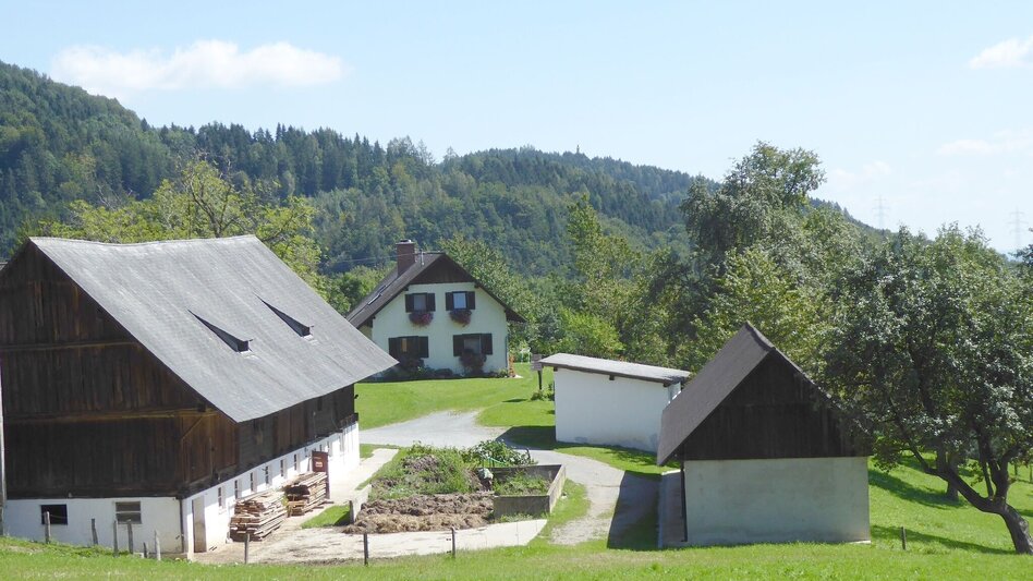 Hiking route Ruine Ahnherrn Rundwanderweg - Touren-Impression #2.5 | © TV Südsteiermark