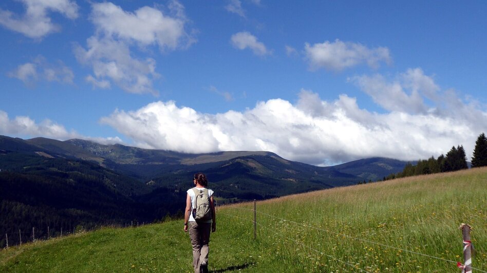 Wanderung Eklogitweg Nr. 16/27/582+27/27+31/581/28 - Touren-Impression #2.3 | © TV Südsteiermark