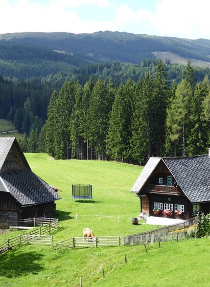 Das Gehöft Lenzbauer am Weg zur Sulm. | © TV Südsteiermark | Christian Heugl | © TV Südsteiermark