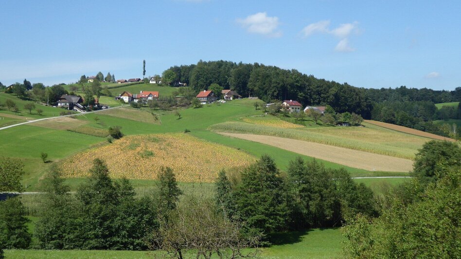 Wanderung Archäologischer Weg 2 rund um St. Martin im Sulmtal - Touren-Impression #2.1 | © TVB/Südsteiermark/Christian Heugl