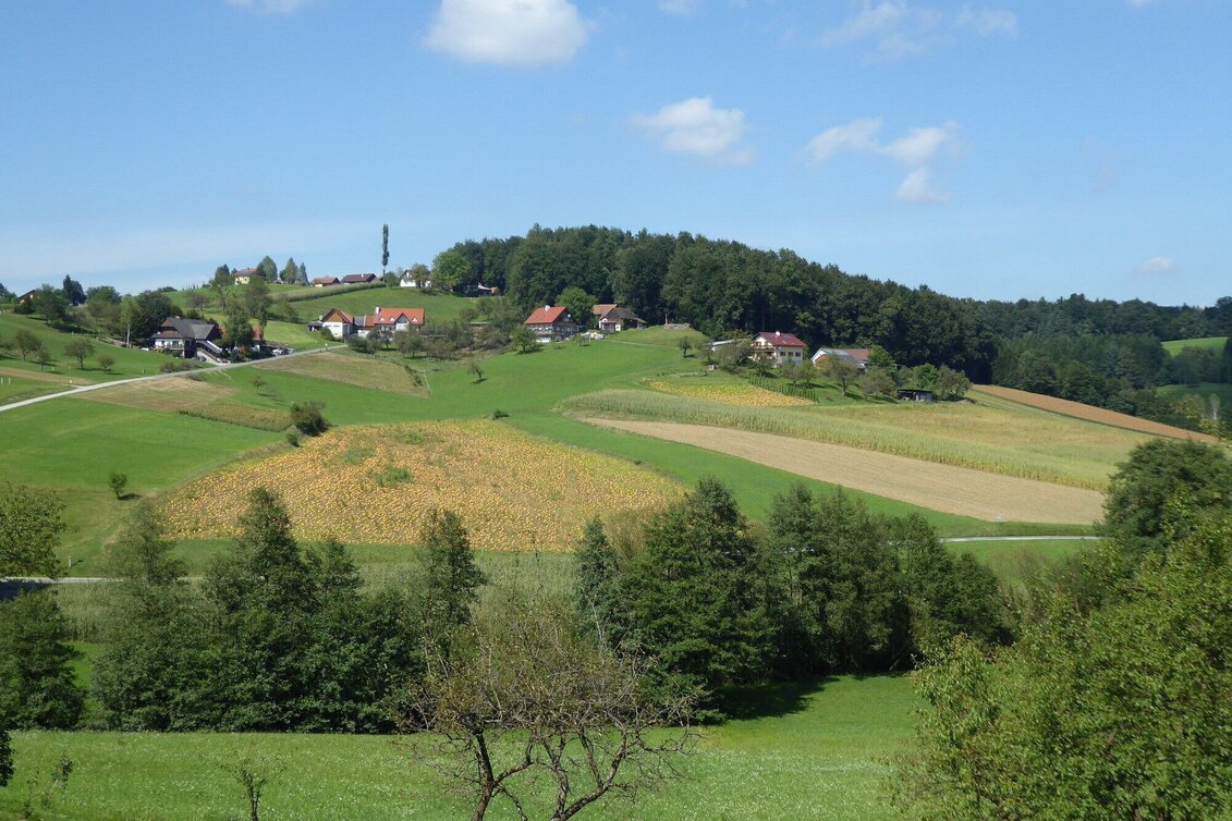 Wanderung Archäologischer Weg 2 rund um St. Martin im Sulmtal - Touren-Impression #1 | © TVB/Südsteiermark/Christian Heugl