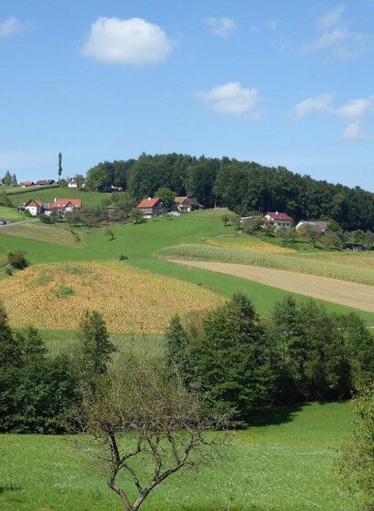 Landschaft bei Otternitz | © TVB/Südsteiermark/Christian Heugl | Christian Heugl | © TVB/Südsteiermark/Christian Heugl