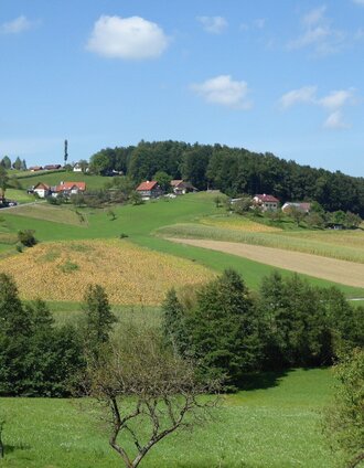 Landschaft bei Otternitz | Christian Heugl | © TVB/Südsteiermark/Christian Heugl
