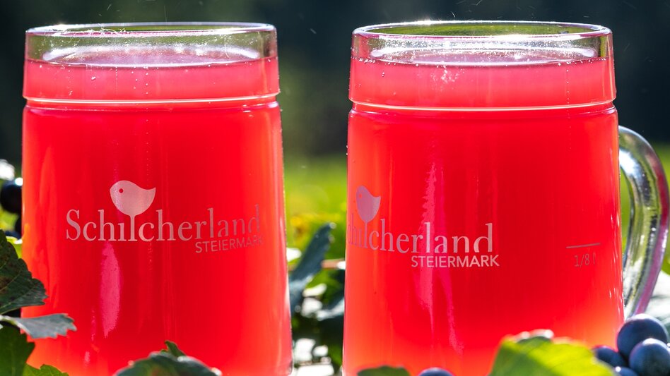 Panoramatouren/Themenstraßen Schilcher Weinstraße - Touren-Impression #2.2 | © Südsteiermark