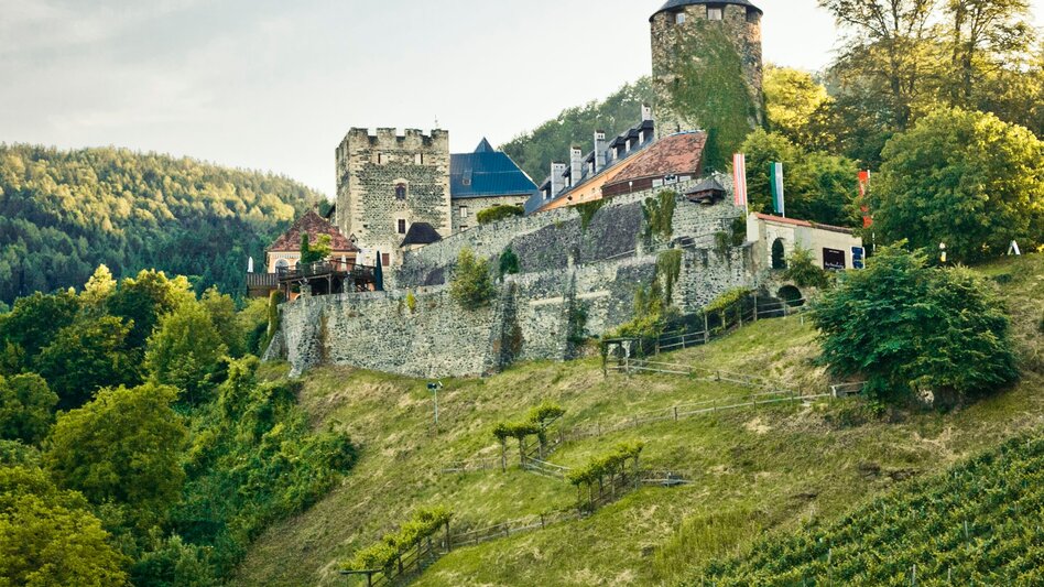 Panoramatouren/Themenstraßen Schilcher Weinstraße - Touren-Impression #2.4 | © Südsteiermark