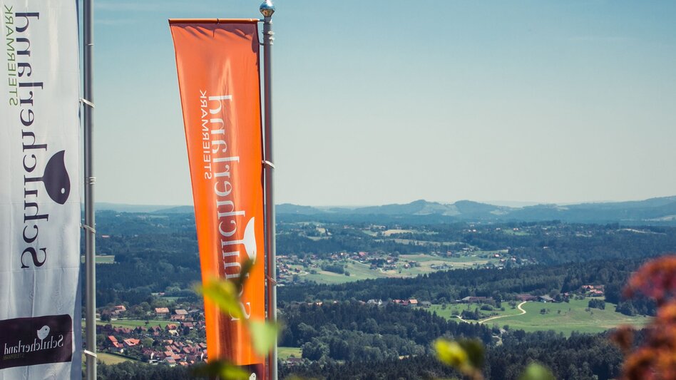 Panoramatouren/Themenstraßen Schilcher Weinstraße - Touren-Impression #2.5 | © Südsteiermark