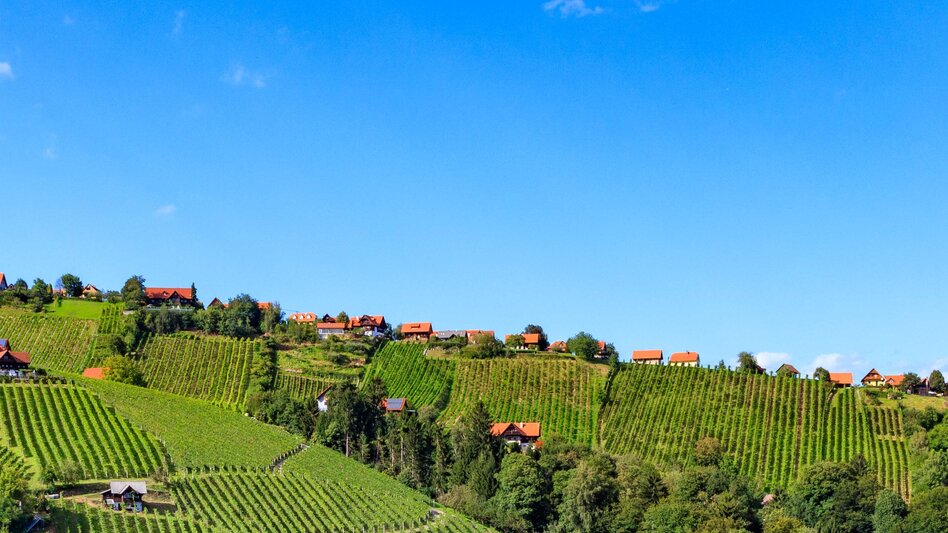 Panoramatouren/Themenstraßen Schilcher Weinstraße - Touren-Impression #2.1 | © Schilcherland Steiermark
