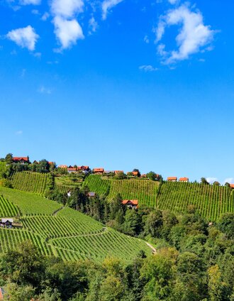 Riede Hochgrail | Foto Augenblick | © Schilcherland Steiermark