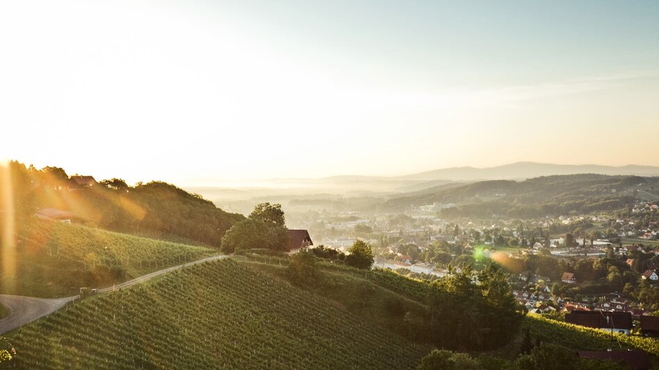 Panoramatouren/Themenstraßen Schilcher Weinstraße - Touren-Impression #2.11 | © Lupi Spuma