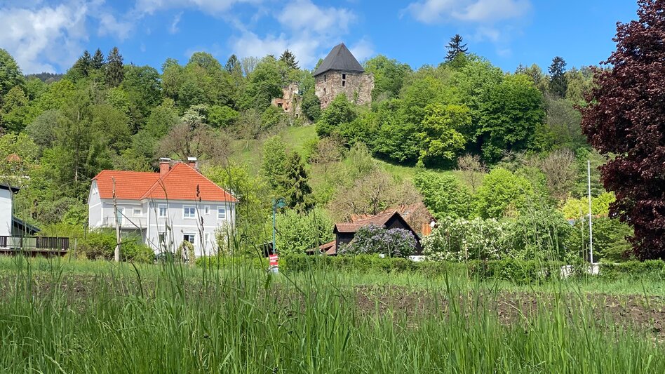Panoramatouren/Themenstraßen Schilcher Weinstraße - Touren-Impression #2.8 | © Schilcherland Steiermark