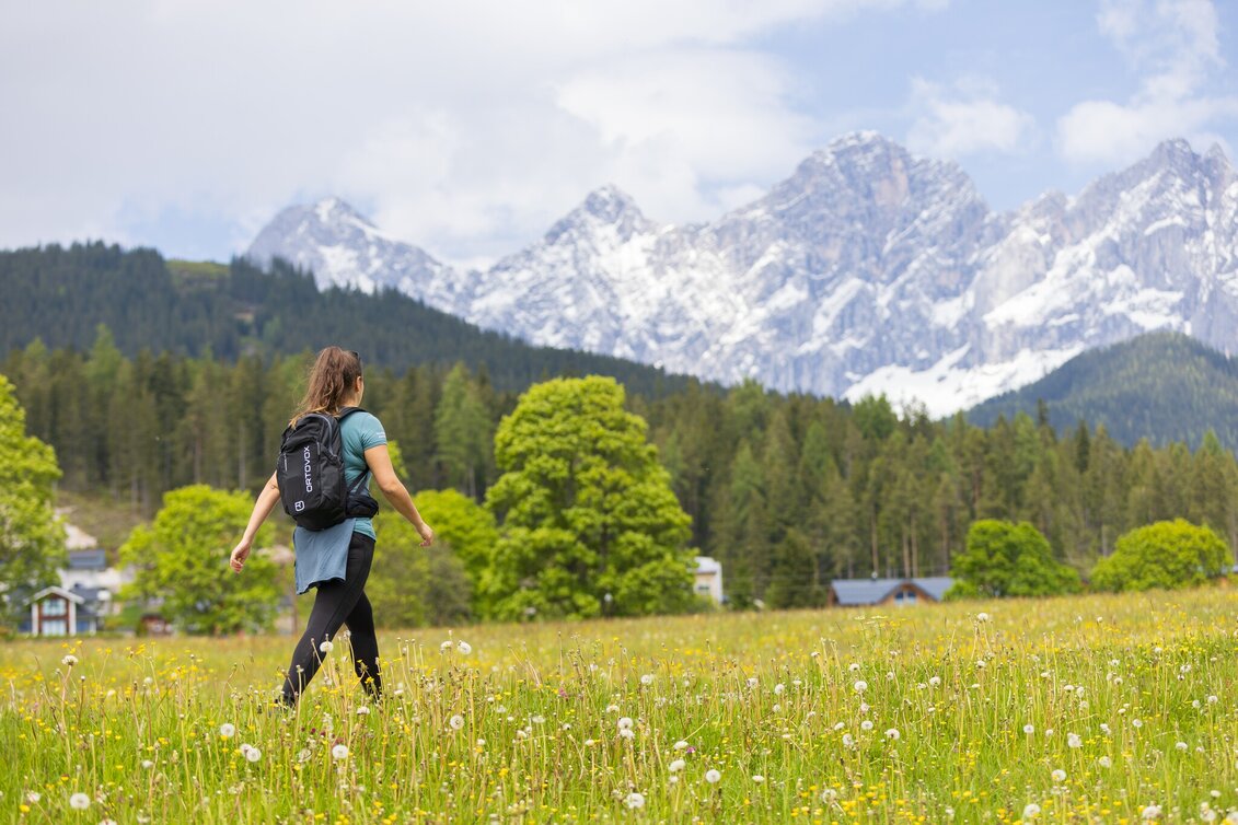 Wanderung Vorberger Spazierrundweg - Touren-Impression #1