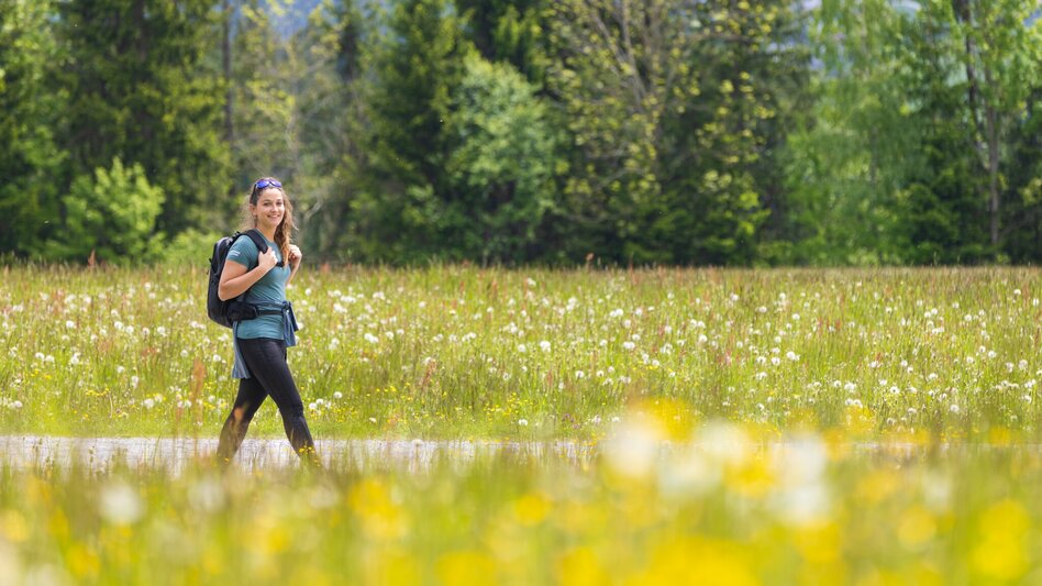Wanderung Vorberger Spazierrundweg - Touren-Impression #2.2