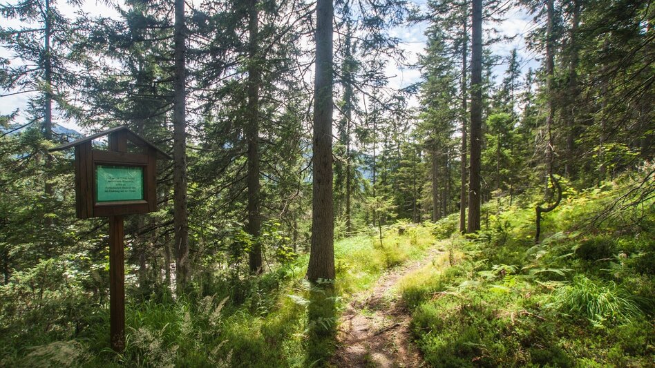 Hiking route Trail of Reflection Vorberg - Touren-Impression #2.1 | © Gerhard Pilz
