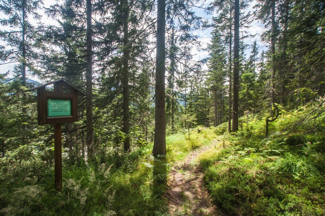 Hiking route Trail of Reflection Vorberg - Touren-Impression #1 | © Gerhard Pilz