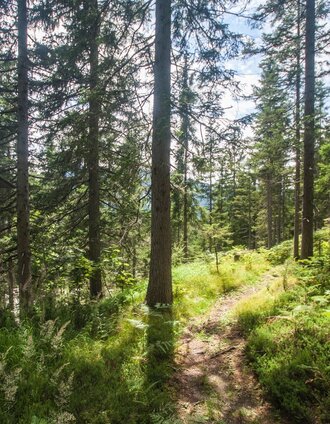 Trail of Reflection, Vorberg | Gerhard Pilz | © Gerhard Pilz