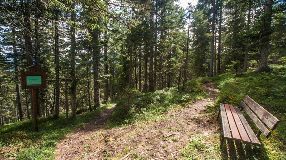 Hiking route Trail of Reflection Vorberg - Touren-Impression #2.3 | © Gerhard Pilz