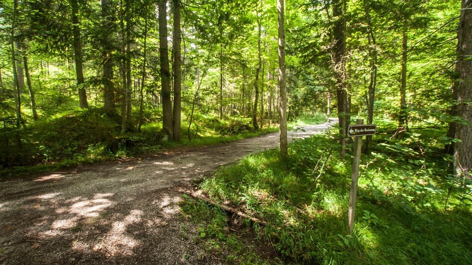 Hiking route Trail of Reflection Vorberg - Touren-Impression #2.4 | © Gerhard Pilz