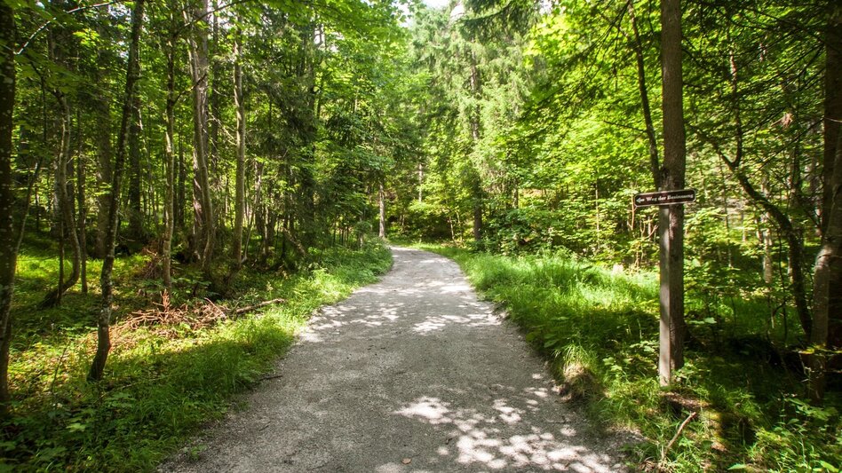 Hiking route Trail of Reflection Vorberg - Touren-Impression #2.5 | © Gerhard Pilz