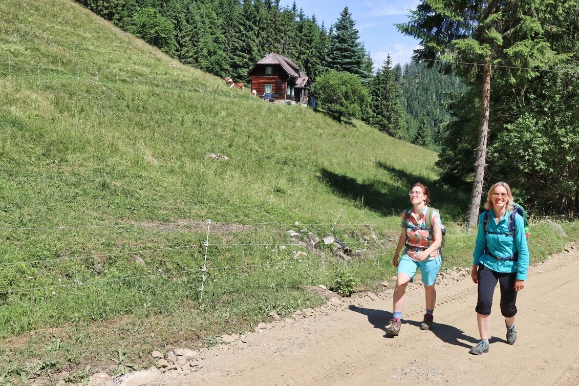 Wanderung Steinplan über Geierleitengraben - Touren-Impression #1 | © Weges OG