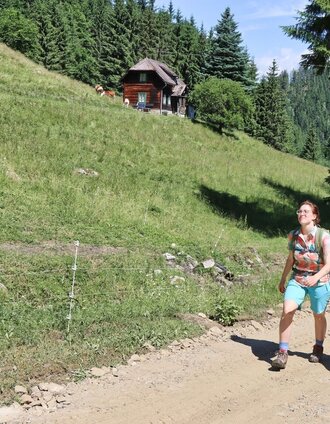 Wir wandern den Forstweg im Graben entlang | Weges OG | © Weges OG