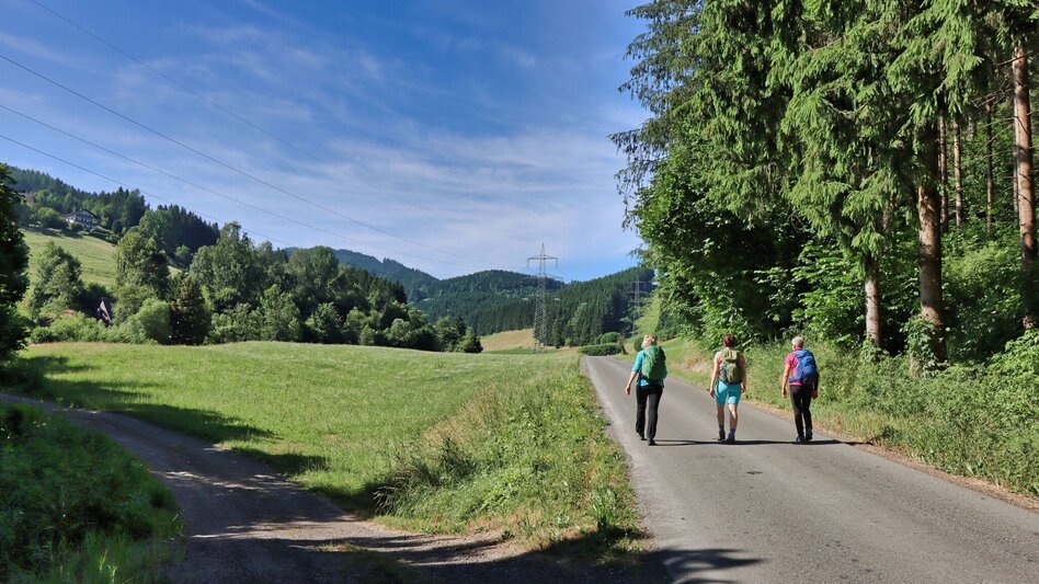 Wanderung Steinplan über Geierleitengraben - Touren-Impression #2.3 | © Weges OG