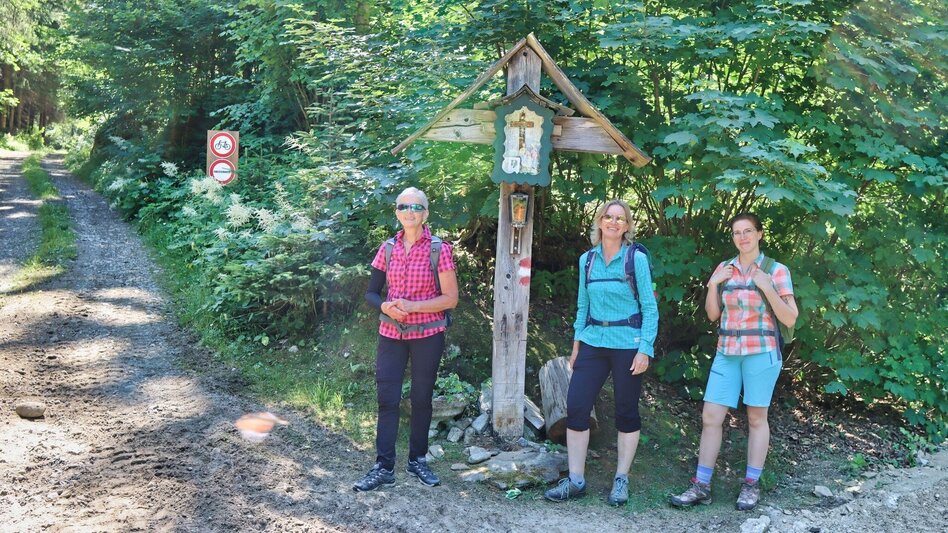 Wanderung Steinplan über Geierleitengraben - Touren-Impression #2.4 | © Weges OG