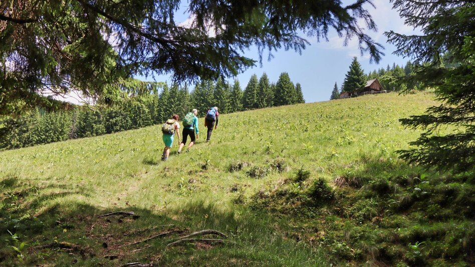 Wanderung Steinplan über Geierleitengraben - Touren-Impression #2.8 | © Weges OG