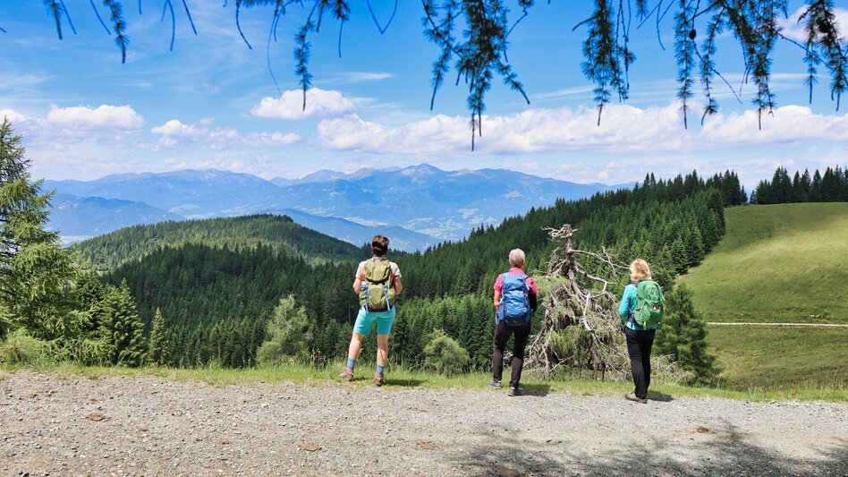 Wanderung Steinplan über Geierleitengraben - Touren-Impression #2.9 | © Weges OG