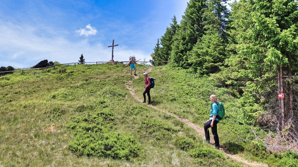 Wanderung Steinplan über Geierleitengraben - Touren-Impression #2.11 | © Weges OG