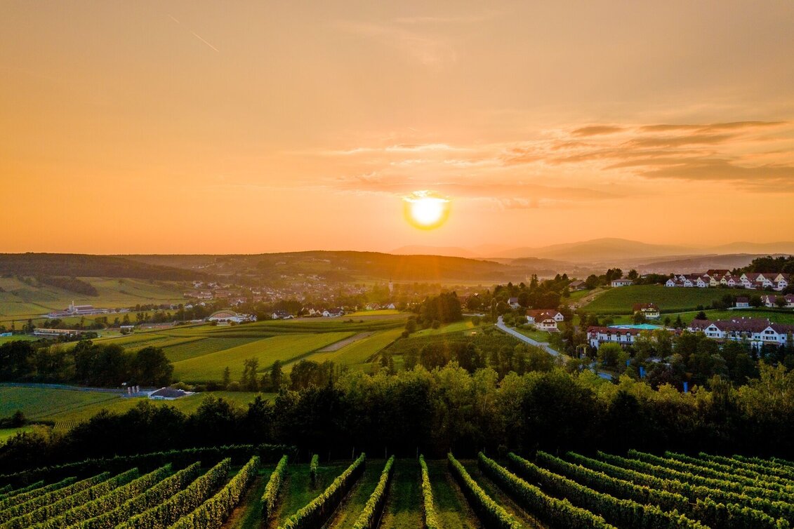 Hiking route smoveyTOUR 4 - Thermenland-Tour 10,4 km - Touren-Impression #1 | © Bad Waltersdorf
