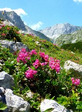 Hochschwabblick | © TV Hochsteiermark | Steininger | © TV Hochsteiermark