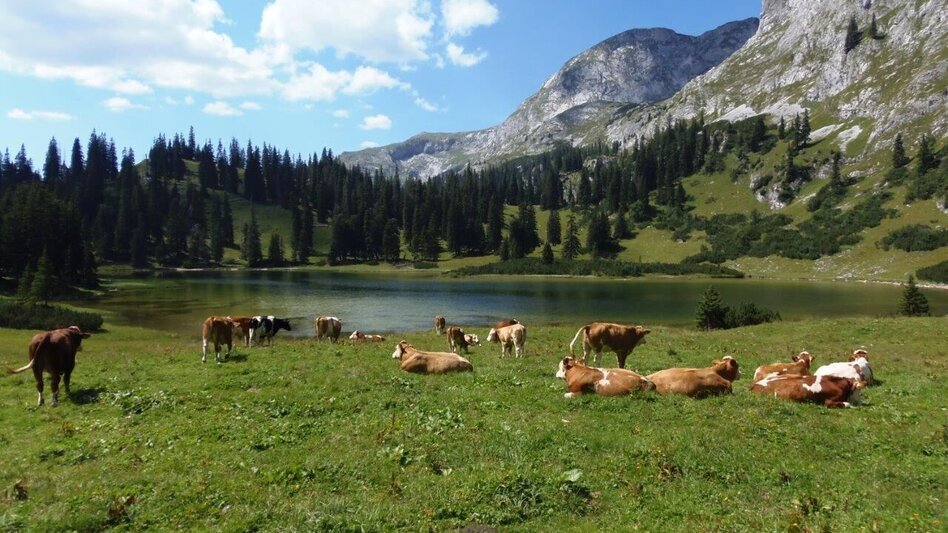 Hiking route Etappe 03: BergZeitReise Schiestlhaus - Voisthalerhütte - Seewiesen - Touren-Impression #2.2 | © Marktgemeinde Thörl